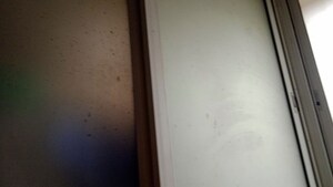 Building Lobby in 3 BHK Apartment at Raunak Park View, Ghodbunder Road – for Rent