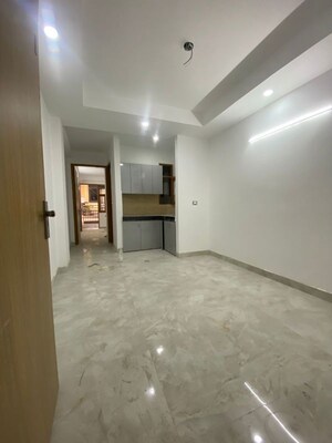 1 BHK Apartment For Rent in Saket