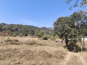 Plot Area in  Plot at Ramnagar – for Sale