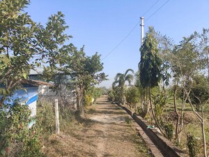 Plot Area in  Plot at Ramnagar – for Sale