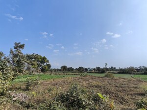 Plot Area in  Land at Ramnagar – for Rent