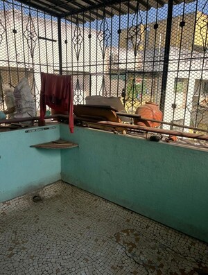 Swimming Pool in 1 RK Apartment at Wadgaon Sheri – for Rent