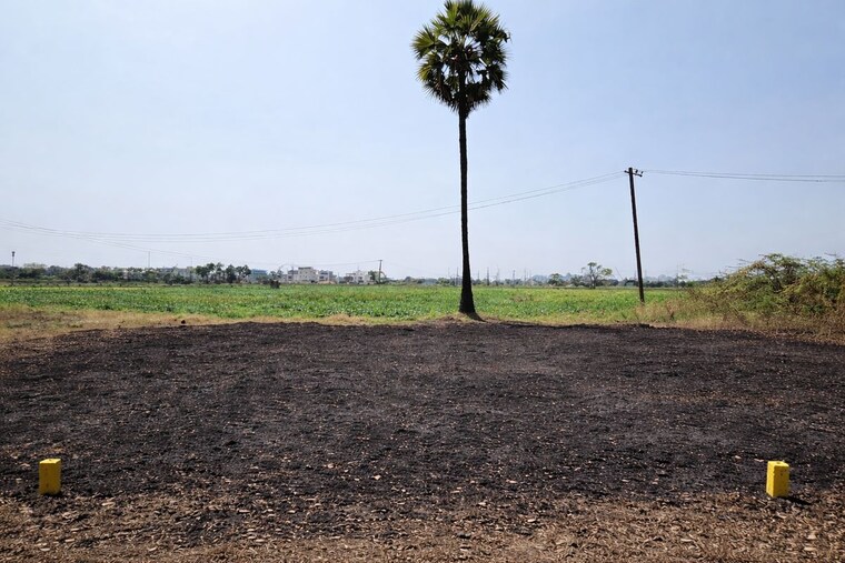 undefined, akhil-daffodils  240 Sq.Yd. Plot In Poranki Vijayawada 10212977