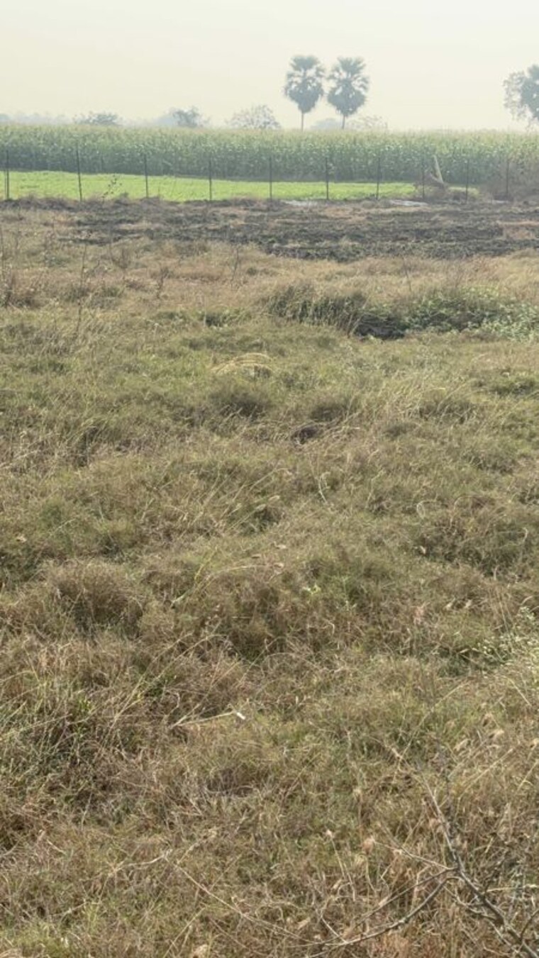 undefined, akhil-daffodils  240 Sq.Yd. Plot In Poranki Vijayawada 10212977