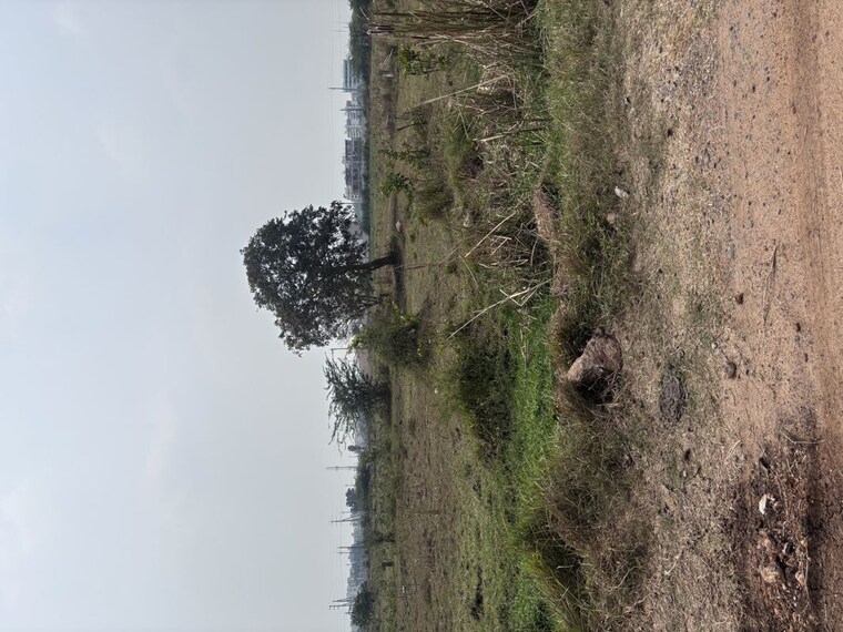 Garden, akhil-daffodils  240 Sq.Yd. Plot In Poranki Vijayawada 10212977