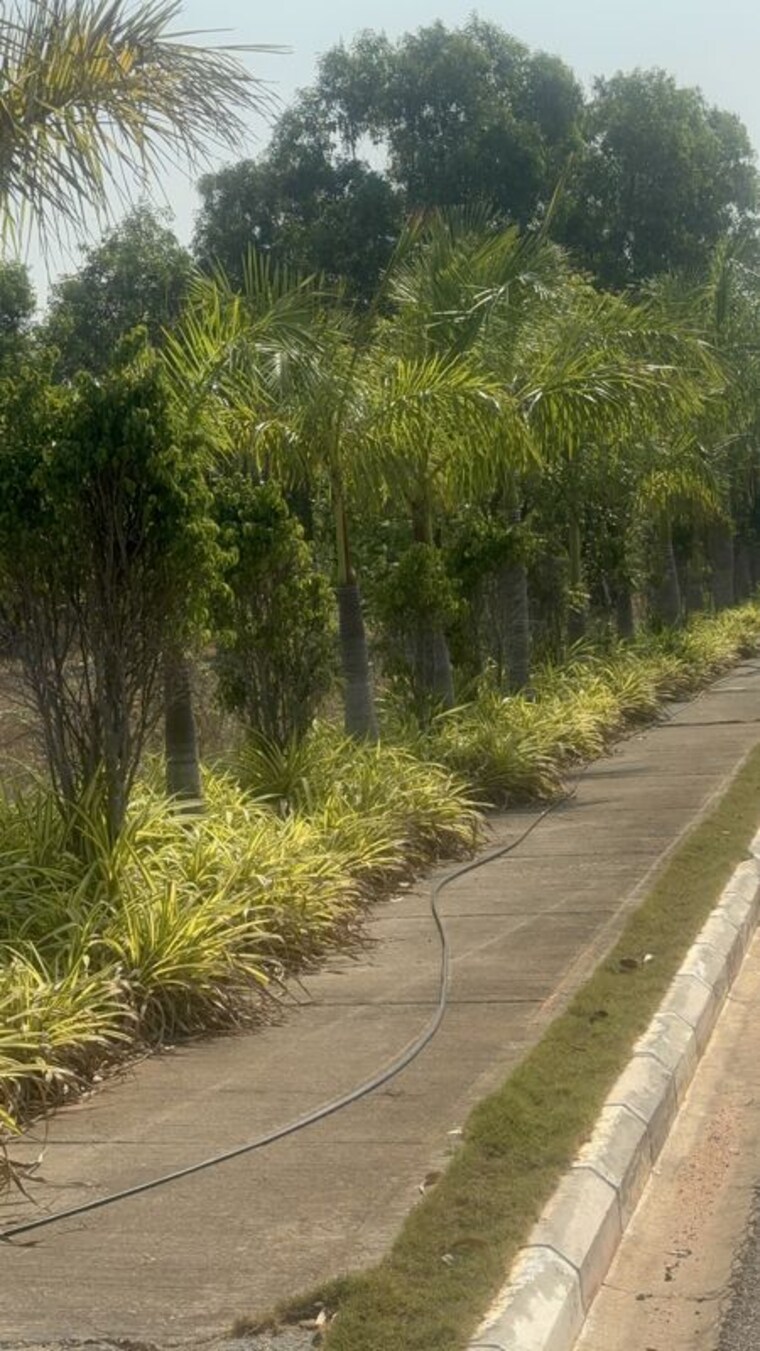 Garden, esencia-bougainvillea  183 Sq.Yd. Plot In Kankipadu Vijayawada 10213012