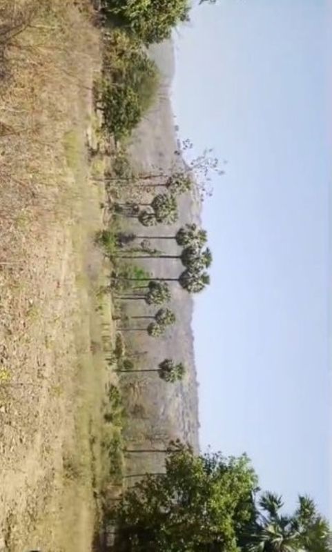 Plot For Sale in Kalli Paschim