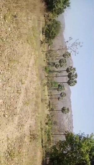 Plot Area in  Plot at Kalli Paschim – for Sale