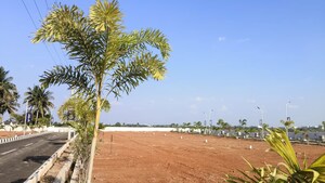 Plot Area in  Plot at Panjappur – for Sale