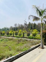 114 Sq.Yd. Plot in Biharigarh