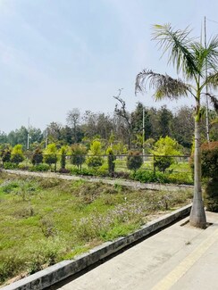 Plot For Sale in Biharigarh