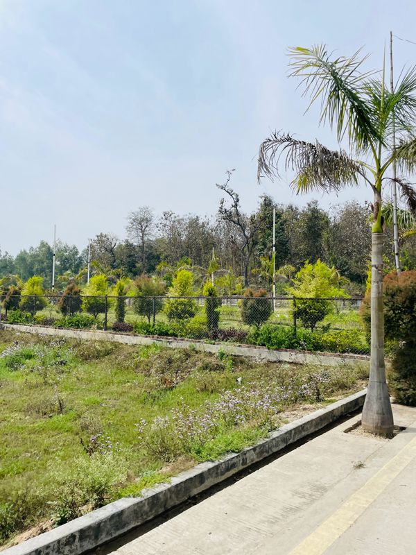 Plot For Sale in Biharigarh