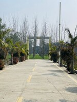172 Sq.Yd. Plot in Biharigarh