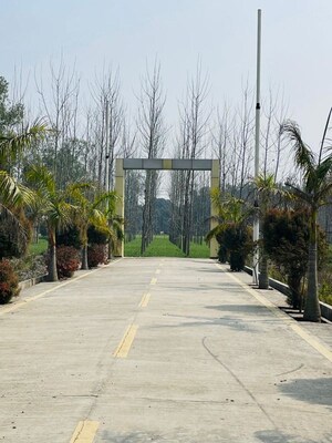  Plot For Sale in Biharigarh