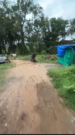 Plot For Sale in Morjim