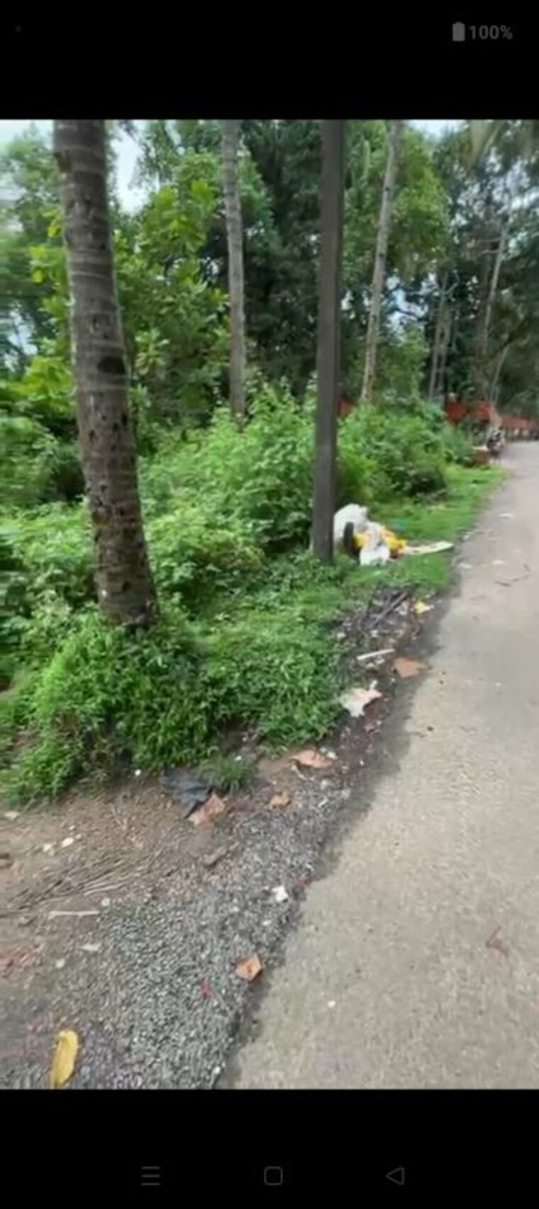 Garden, morjim  3110 Sq.Ft. Plot In Morjim Goa 10213154