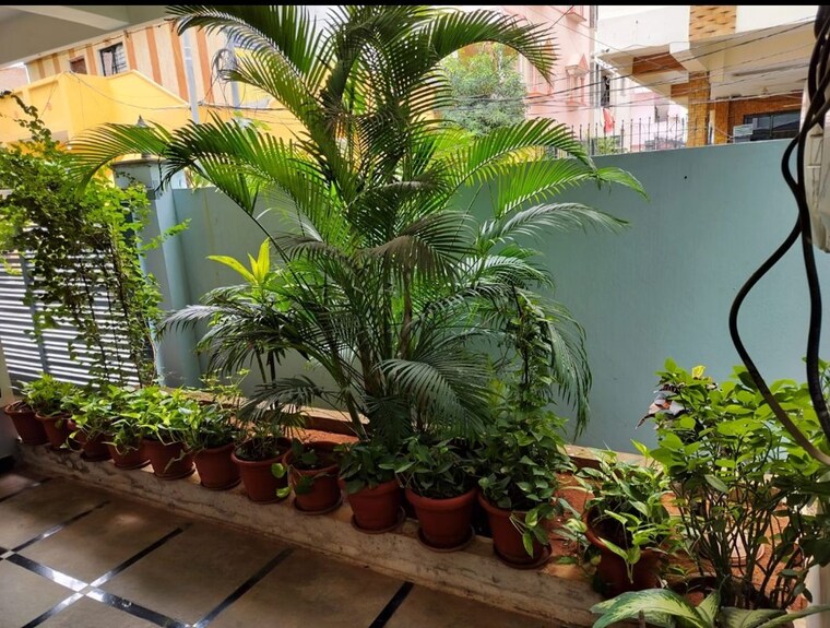 Garden, attapur 6+ Bedroom 283 Sq.Yd. Independent House In Attapur Hyderabad 10208889