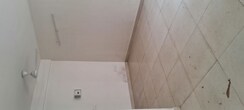 2 BHK + Pooja Room Apartment For Rent in Signature Global Proxima Phase 2