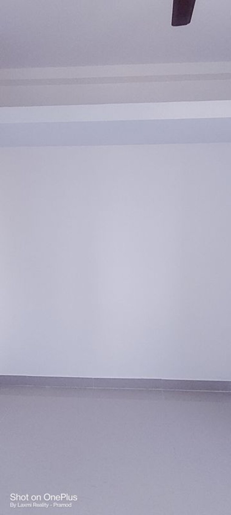 undefined, sra-mahalaxmi-building 1 Bedroom 350 Sq.Ft. Apartment In Mahalaxmi Mumbai 10213493