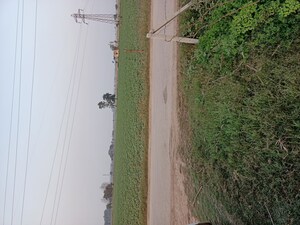  Plot For Sale in Vatika City Central