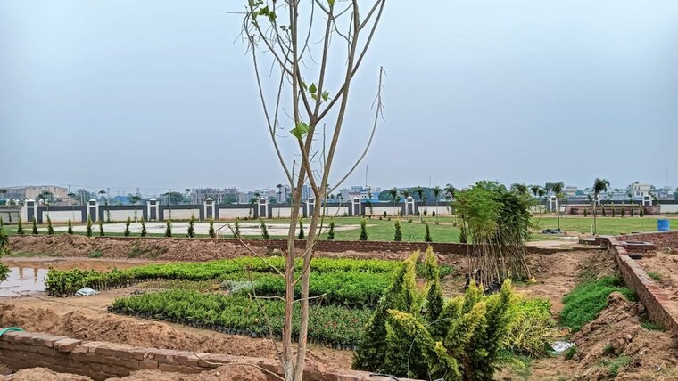Exterior View, sector 12 panchkula  119 Sq.Yd. Plot In Sector 12 Panchkula Panchkula 10213874
