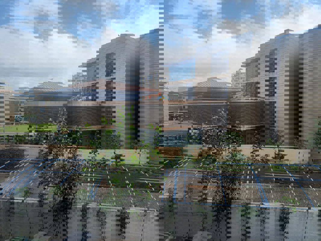 2 BHK 783 Sq.Ft. Apartment in Prithvi Proximus