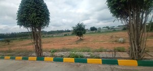  Plot For Sale in Alasanatham