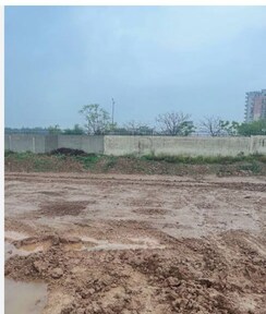 Plot For Sale in Sector 85