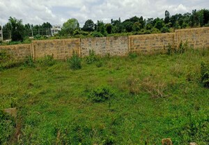 Plot Area in  Plot at Chuna Bhatti – for Sale