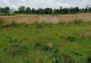 Plot Area in  Plot at Chuna Bhatti – for Sale