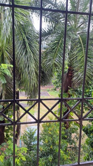 Balcony in 2 BHK Apartment at Juhu – for Rent