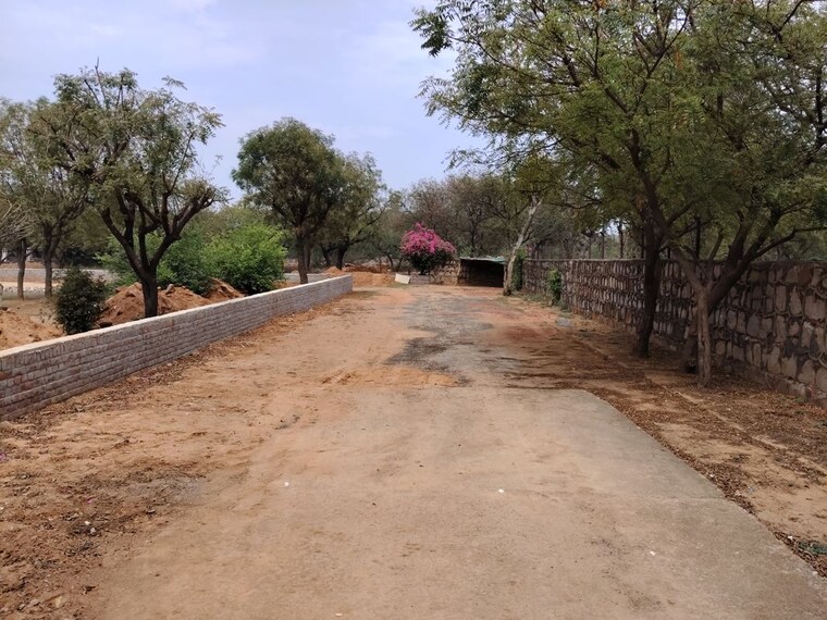 undefined, asola  1200 Sq.Yd. Plot In Asola Delhi 10214314