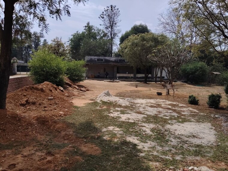 undefined, asola  1200 Sq.Yd. Plot In Asola Delhi 10214314