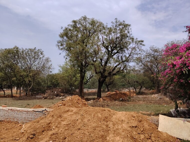 undefined, asola  1200 Sq.Yd. Plot In Asola Delhi 10214314