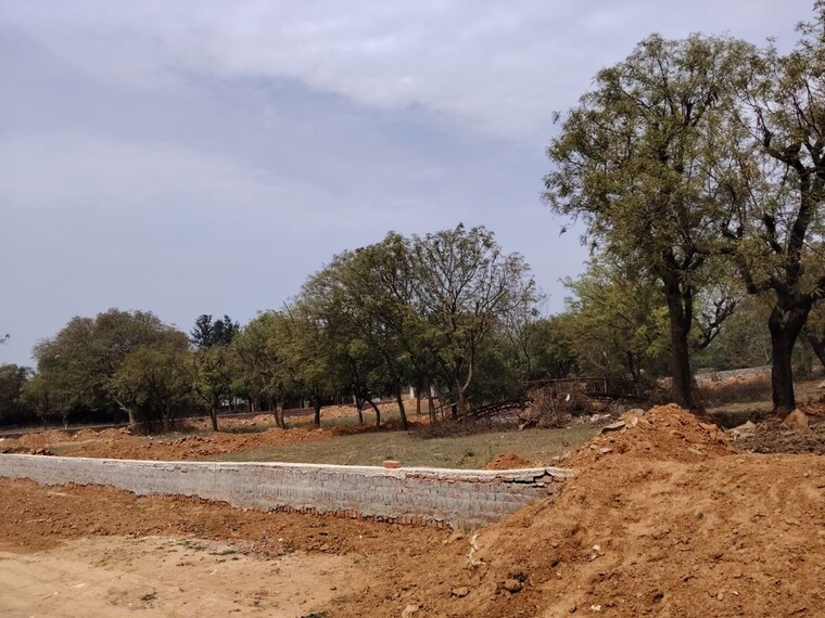 undefined, asola  1200 Sq.Yd. Plot In Asola Delhi 10214314