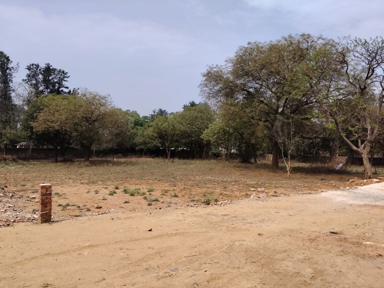 undefined, asola  1200 Sq.Yd. Plot In Asola Delhi 10214314