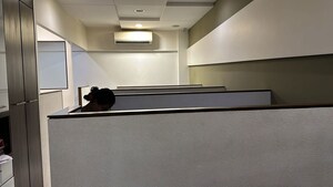 Team Area in  Office Space at Chembur – for Sale