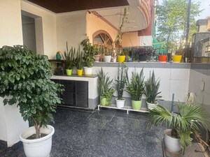 Balcony in 2 BHK Builder Floor at RWA Residential Society Sector 46, Sector 46 – for Rent