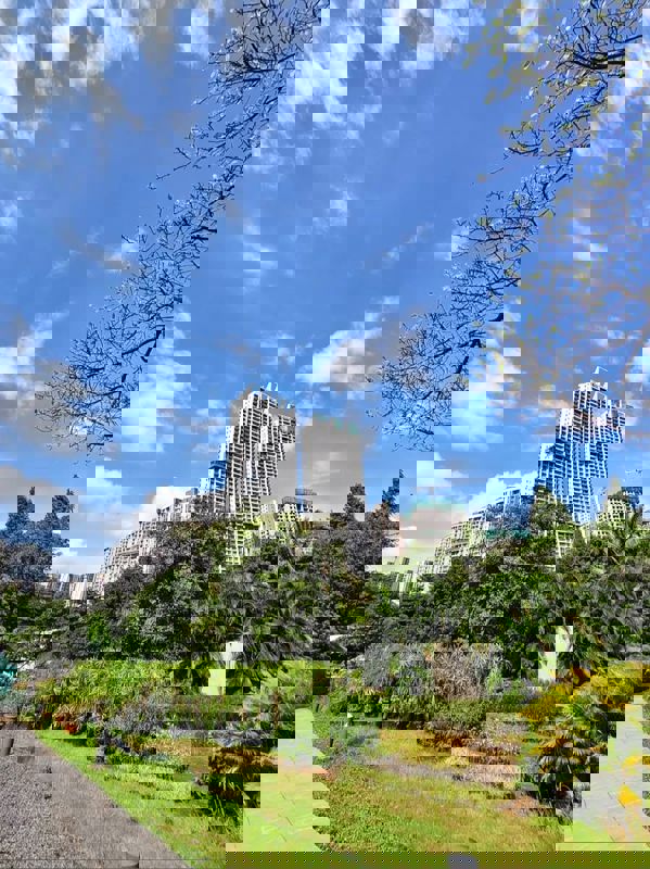 2 BHK + Study Room 636 Sq.Ft. Apartment in Kalpataru Parkcity Eternia