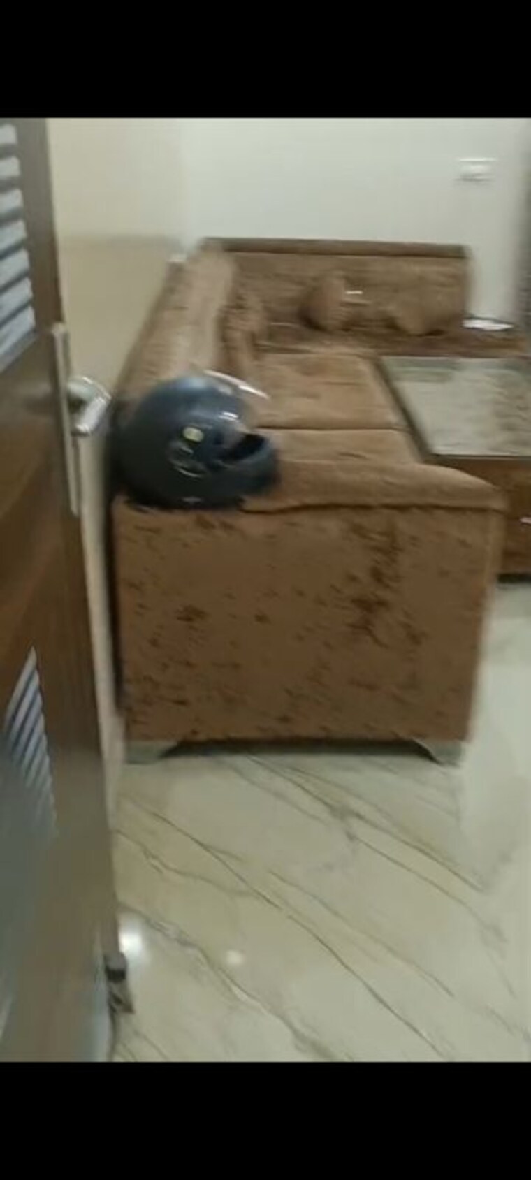 undefined, pitampura 2 Bedroom 700 Sq.Ft. Builder Floor In Pitampura Delhi 10215455