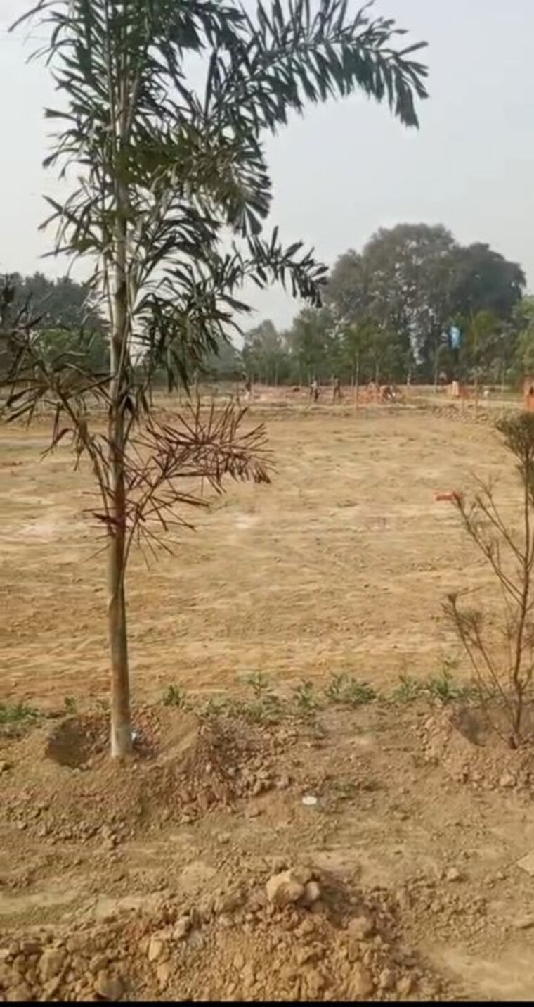 undefined, gosainganj  1000 Sq.Ft. Plot In Gosainganj Lucknow 10215479