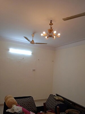 3 BHK Builder Floor For Rent in Green Park