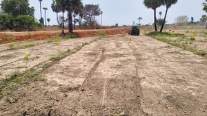  Plot For Sale in Chintapalli