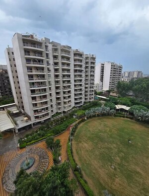 3 BHK Apartment For Rent in Malwa Escon Arena, Lohgarh