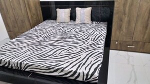 Bedroom in 1 BHK Builder Floor at Sector 55 – for Rent