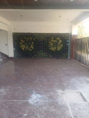 Living Room in 2 BHK Builder Floor at Sector 53 – for Sale