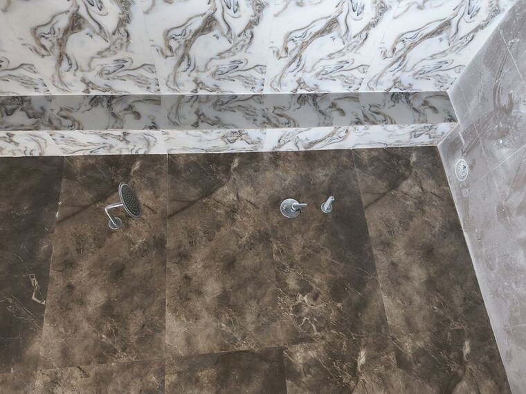 undefined, sector 11 3 Bedroom 260 Sq.Yd. Builder Floor In Sector 11 Faridabad 10216052