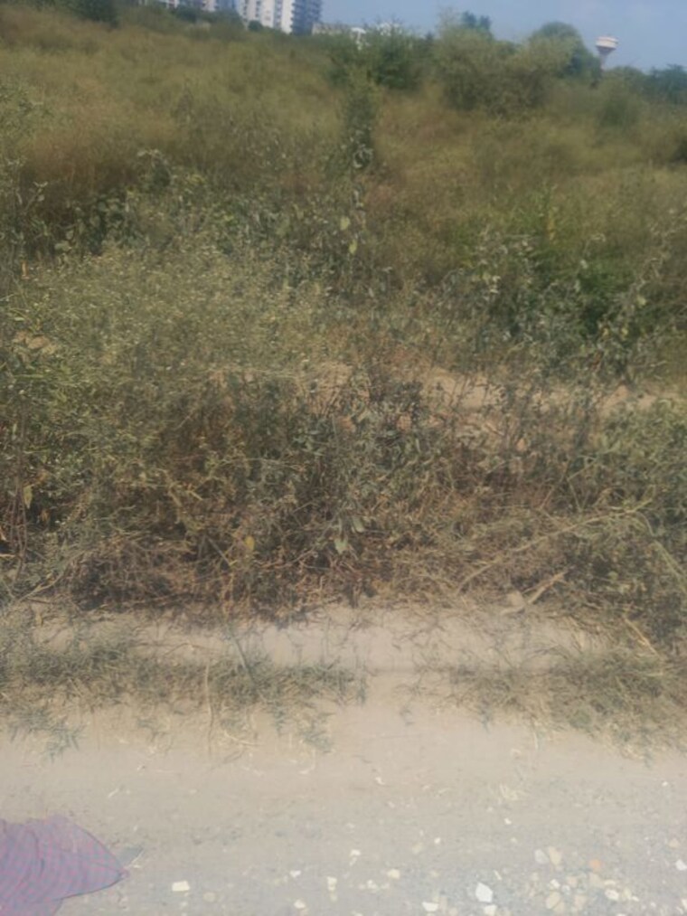 undefined, chaksu  220 Sq.Ft. Plot In Chaksu Jaipur 10216192