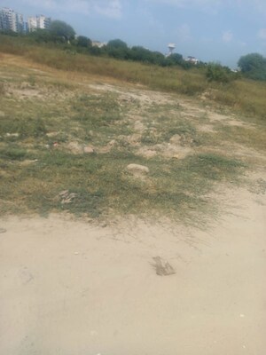 Plot Area in  Plot at Chaksu – for Sale