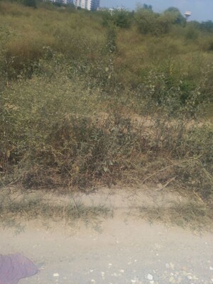 Plot Area in  Plot at Chaksu – for Sale